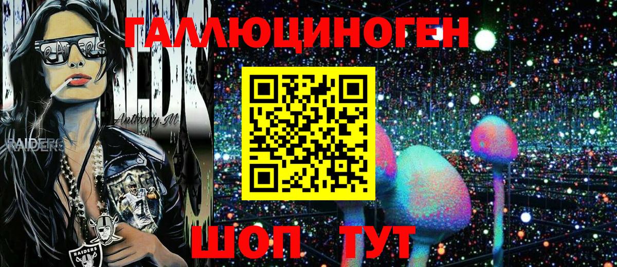 Пенза  Галлюциногенные грибы Psilocybine cubensis  Вход с VPN 